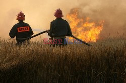 Reporter Poland 2008