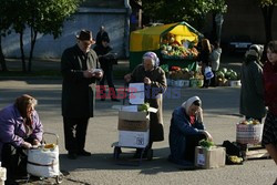 Reporter Poland 2008