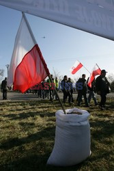 Reporter Poland 2008