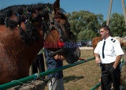 Reporter Poland 2009