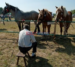 Reporter Poland 2009