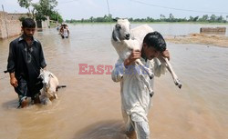 Powódź w Pakistanie