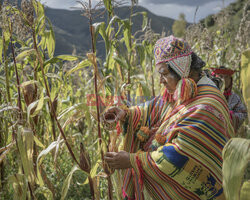 Peru - Agence VU