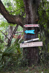 Daufuskie Island - Redux