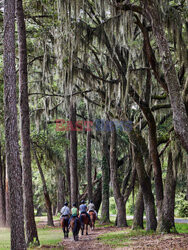 Daufuskie Island - Redux