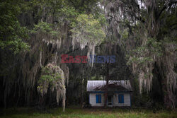 Daufuskie Island - Redux