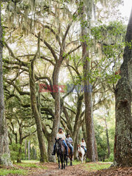 Daufuskie Island - Redux