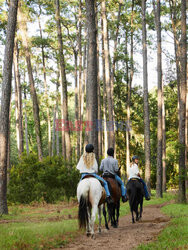 Daufuskie Island - Redux