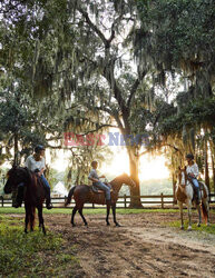 Daufuskie Island - Redux