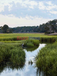 Daufuskie Island - Redux