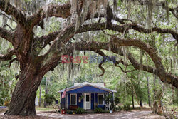 Daufuskie Island - Redux