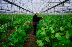 Izrael - uprawy w cieniu wojny - AFP