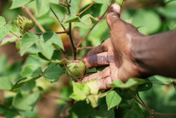 Zmiana klimatu w Malawi - PA