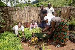 Zmiana klimatu w Malawi - PA