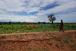 Zmiana klimatu w Malawi - PA