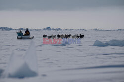 Ostatni inuiccy myśliwi - AFP