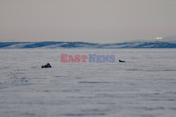 Ostatni inuiccy myśliwi - AFP