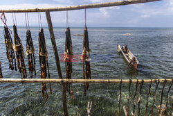 Indonezyjski lud Bajau - NYT