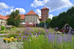 Kraków Albin Marciniak