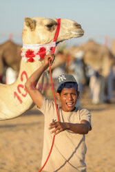 4. Camel Race w El Alamein