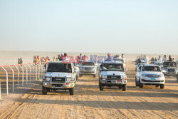 4. Camel Race w El Alamein