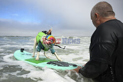 Mistrzostwa psów w surfingu