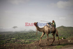 Sytuacja humanitarna w regionie Tigray w Etiopii - AFP