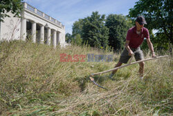 Ręczne koszenie trawy w londyńskim parku