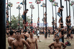 Tradycyjna gra Panjat Pinang w Indonezji