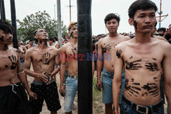 Tradycyjna gra Panjat Pinang w Indonezji