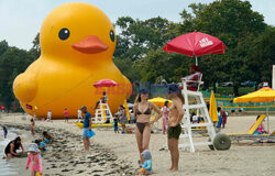 Gigantyczna gumowa kaczka na plaży w Nowym Jorku