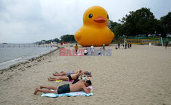 Gigantyczna gumowa kaczka na plaży w Nowym Jorku