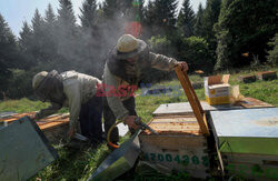 Pszczelarze z Saint-Ours we Francji - AFP