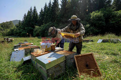 Pszczelarze z Saint-Ours we Francji - AFP