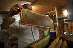 Pszczelarze z Saint-Ours we Francji - AFP