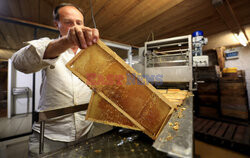 Pszczelarze z Saint-Ours we Francji - AFP