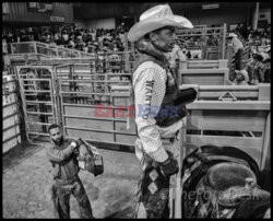 Arizona Black Rodeo - Rex Features