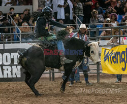 Arizona Black Rodeo - Rex Features