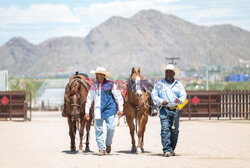 Arizona Black Rodeo - Rex Features