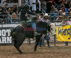 Arizona Black Rodeo - Rex Features