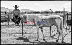 Arizona Black Rodeo - Rex Features