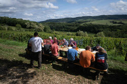 Winnica Pinot Noir we Francji- AFP