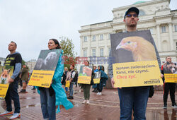 Marsz Wyzwolenia Zwierząt