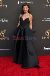 Emmy Nominees Night