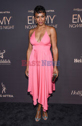 Emmy Nominees Night