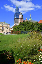 Kraków Albin Marciniak