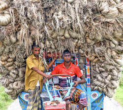 Transport juty w Bangladeszu