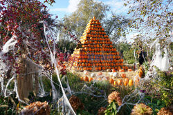 Halloweenowe gospodarstwo w Niemczech