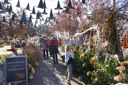 Halloweenowe gospodarstwo w Niemczech