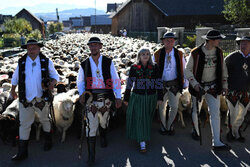 Redyki w Polsce - AFP